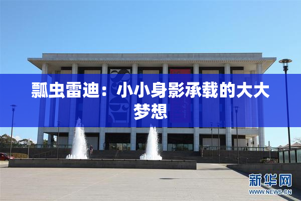 瓢虫雷迪：小小身影承载的大大梦想