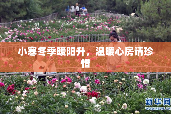 小寒冬季暖阳升，温暖心房请珍惜