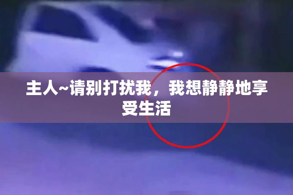 主人~请别打扰我，我想静静地享受生活