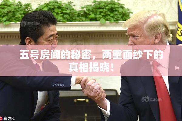 五号房间的秘密，两重面纱下的真相揭晓！