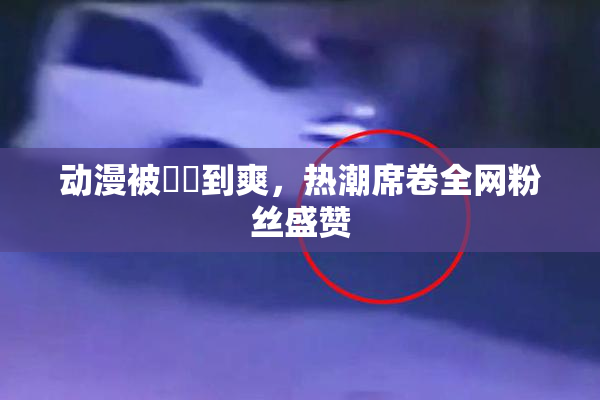 动漫被❌‌到爽，热潮席卷全网粉丝盛赞