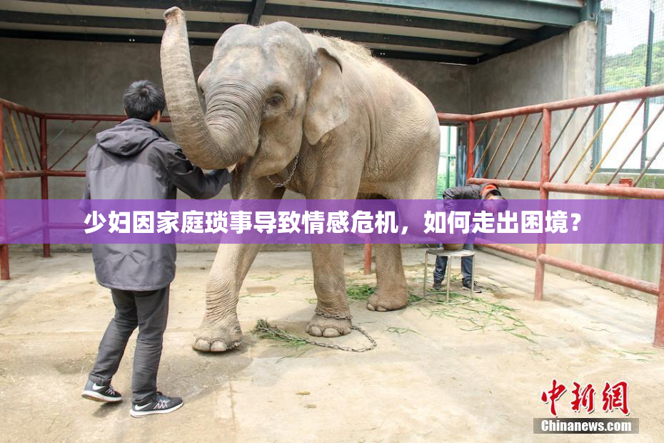 少妇因家庭琐事导致情感危机，如何走出困境？