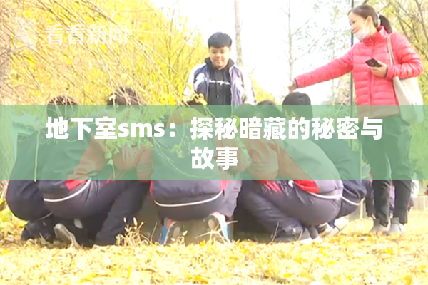 地下室sms：探秘暗藏的秘密与故事