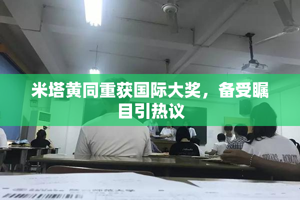 米塔黄同重获国际大奖，备受瞩目引热议