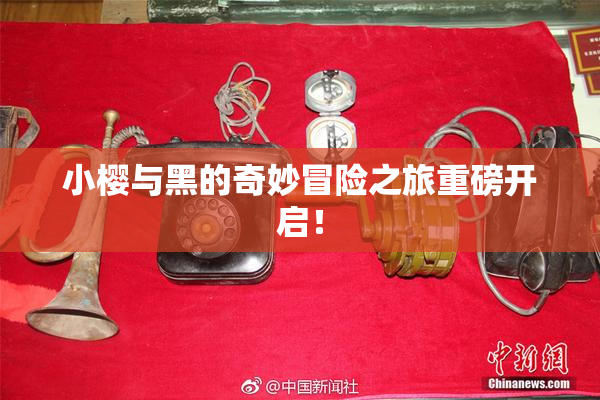 小樱与黑的奇妙冒险之旅重磅开启！