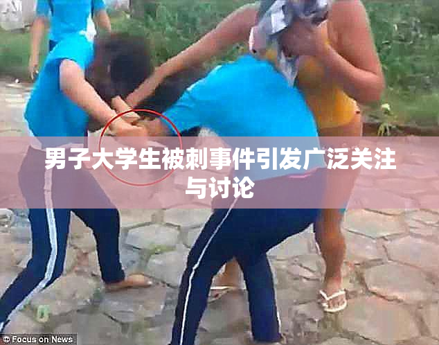 男子大学生被刺事件引发广泛关注与讨论