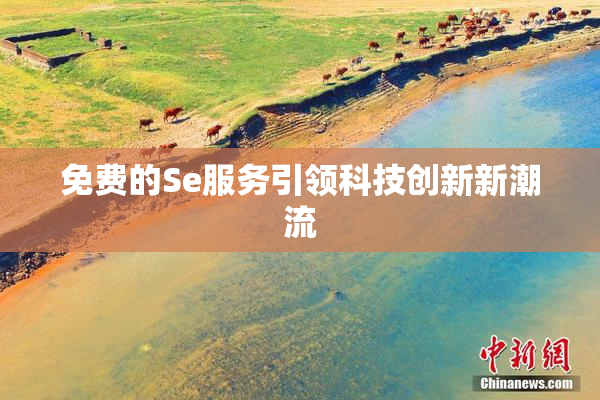 免费的Se服务引领科技创新新潮流