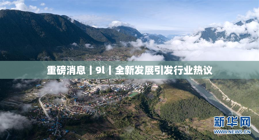 重磅消息丨9l丨全新发展引发行业热议