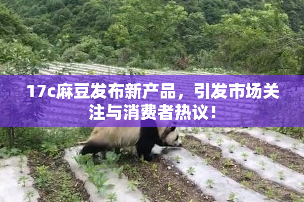 17c麻豆发布新产品，引发市场关注与消费者热议！