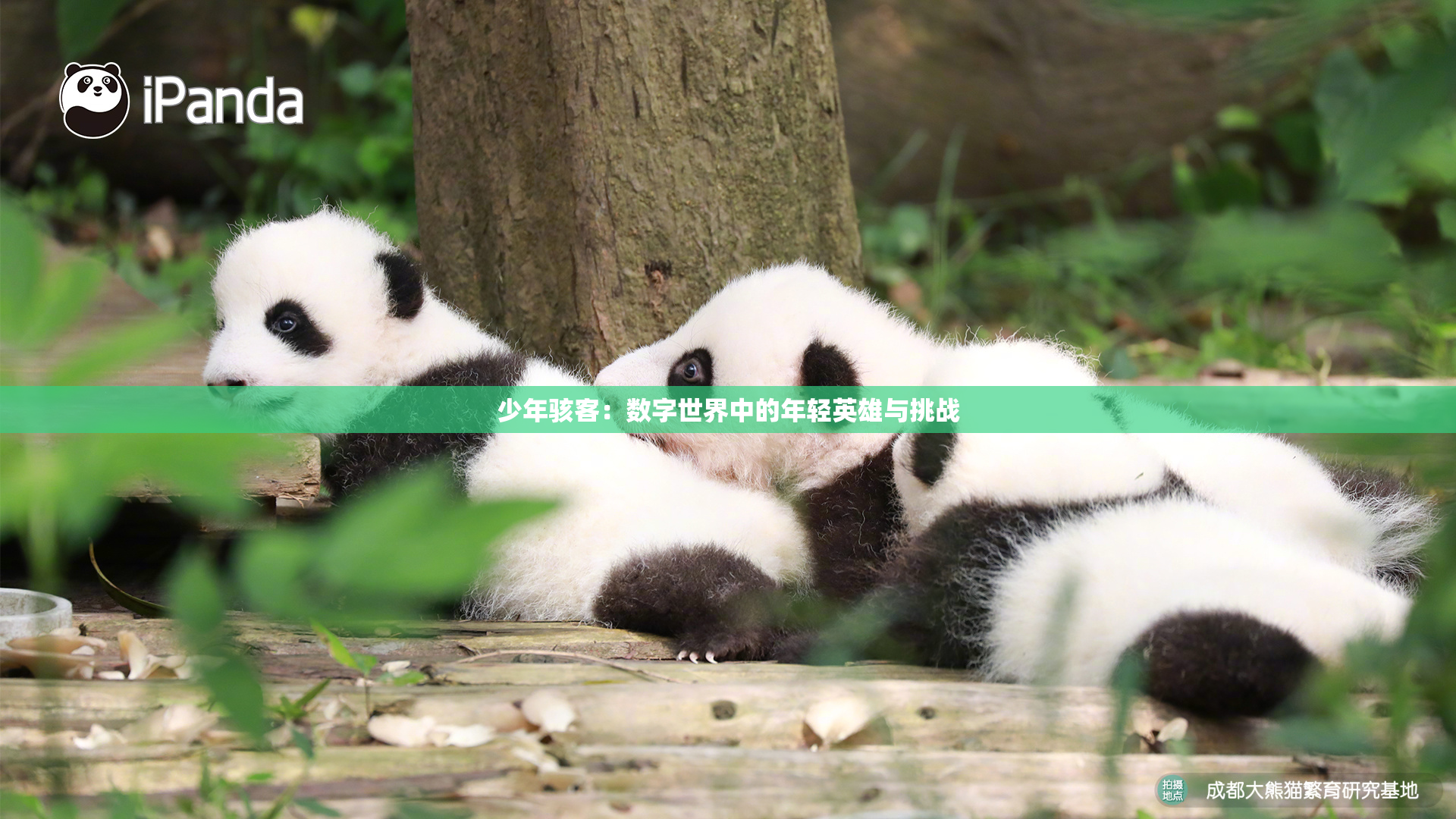少年骇客：数字世界中的年轻英雄与挑战