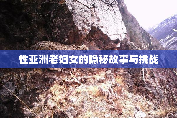 性亚洲老妇女的隐秘故事与挑战