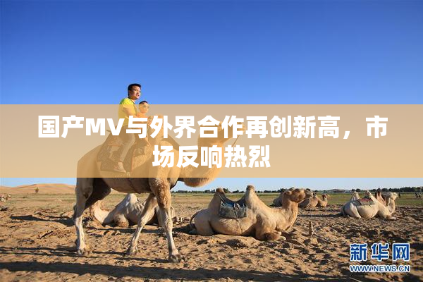 国产MV与外界合作再创新高，市场反响热烈