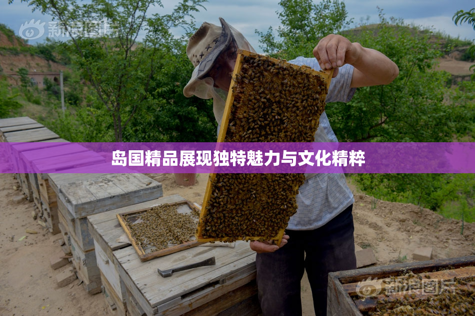 岛国精品展现独特魅力与文化精粹