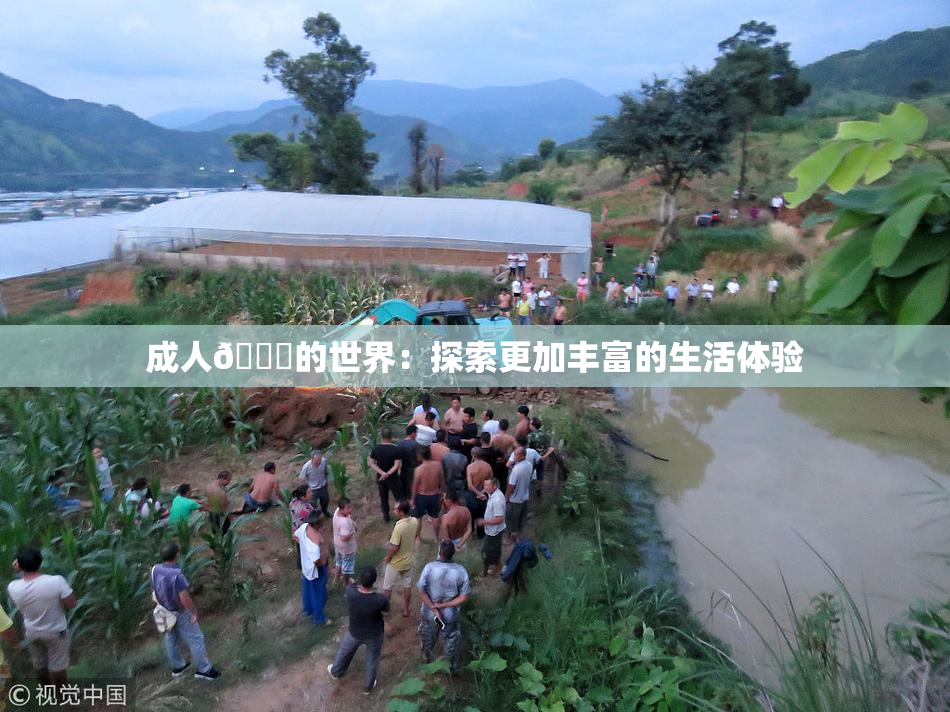 成人🍆的世界：探索更加丰富的生活体验