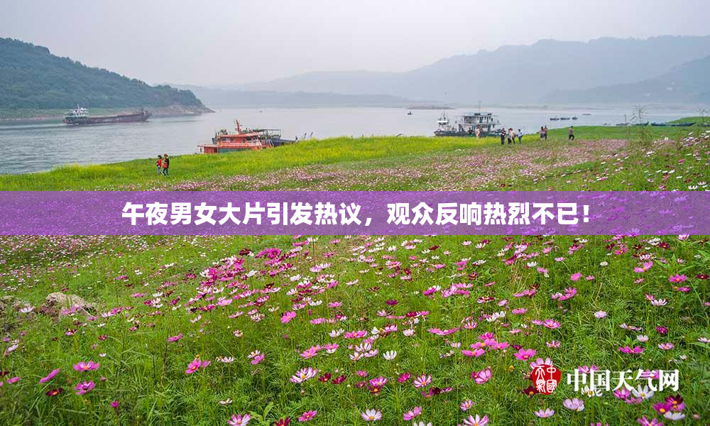 午夜男女大片引发热议，观众反响热烈不已！