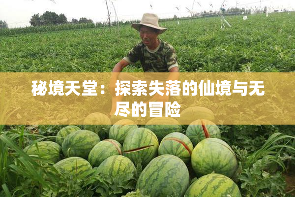 秘境天堂：探索失落的仙境与无尽的冒险