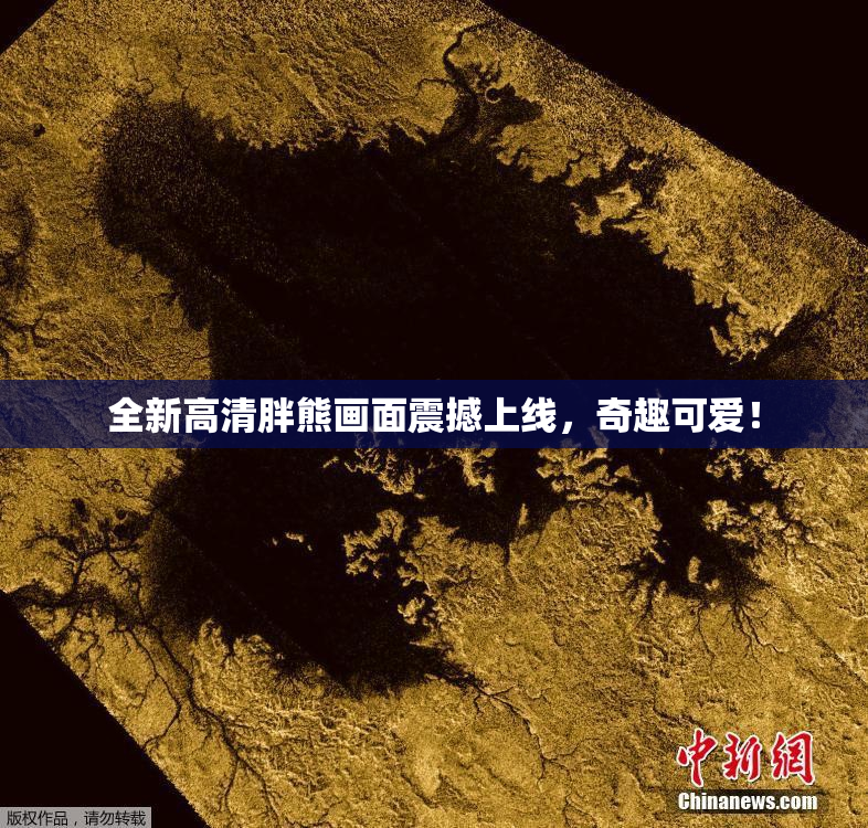 全新高清胖熊画面震撼上线，奇趣可爱！