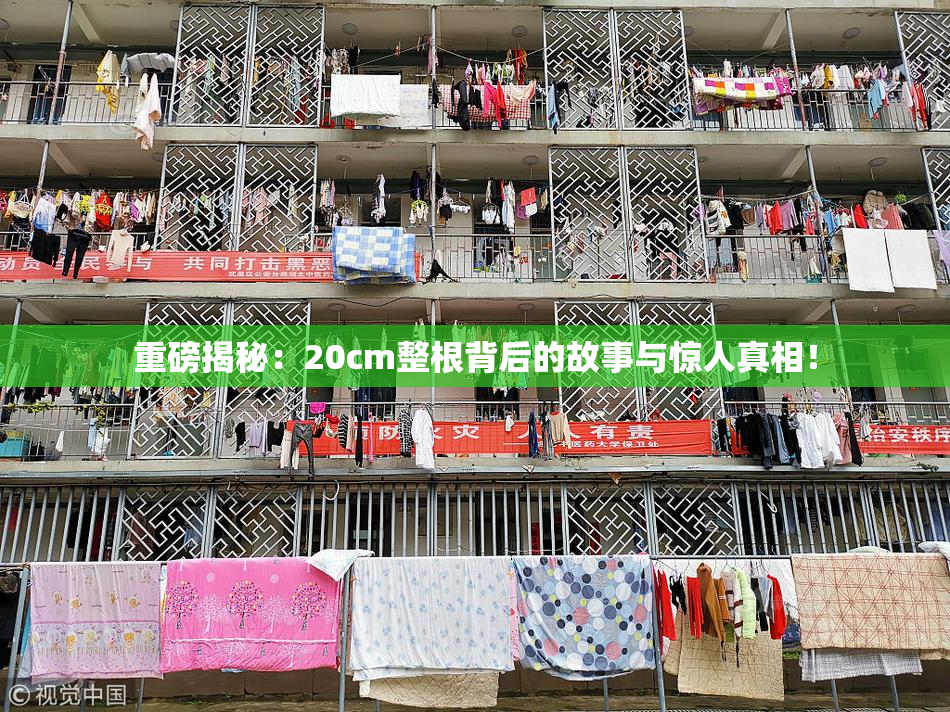 重磅揭秘：20cm整根背后的故事与惊人真相！