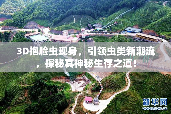 3D抱脸虫现身，引领虫类新潮流，探秘其神秘生存之道！