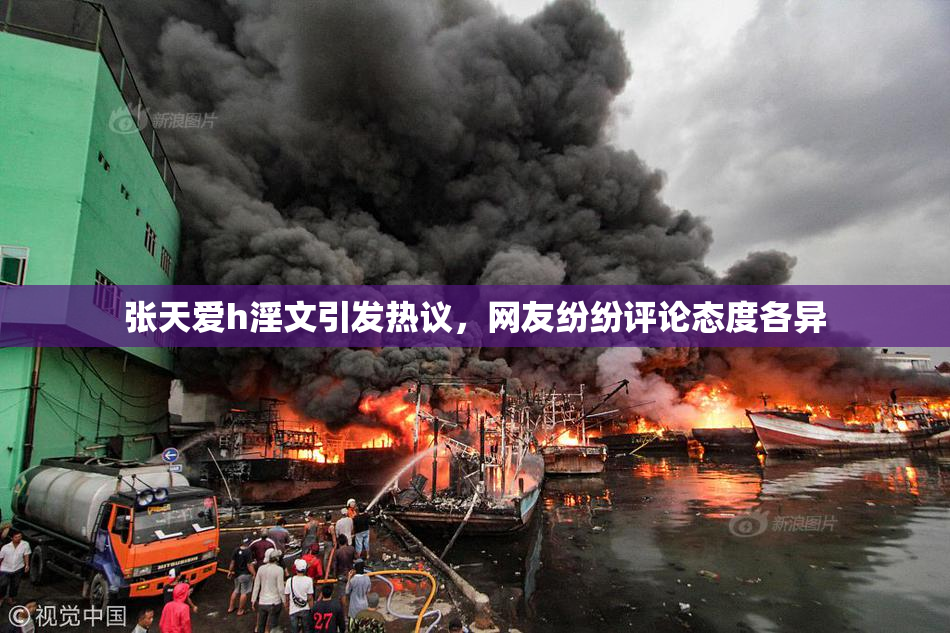 张天爱h淫文引发热议，网友纷纷评论态度各异