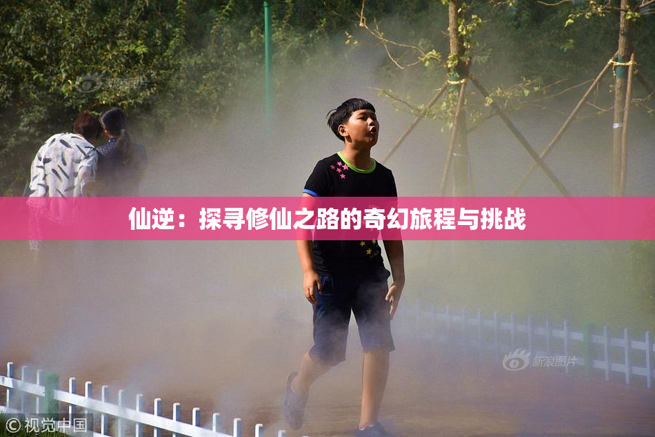 仙逆：探寻修仙之路的奇幻旅程与挑战