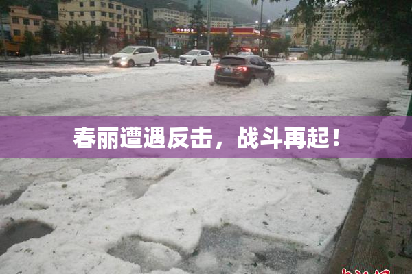 春丽遭遇反击，战斗再起！