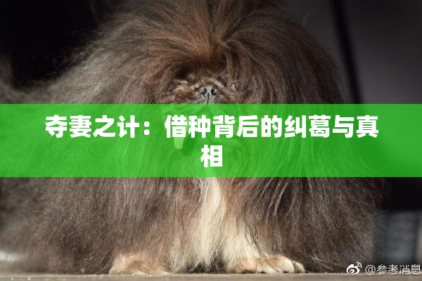 夺妻之计：借种背后的纠葛与真相