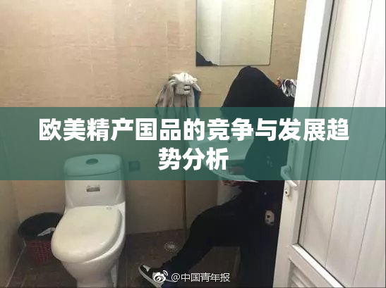 欧美精产国品的竞争与发展趋势分析