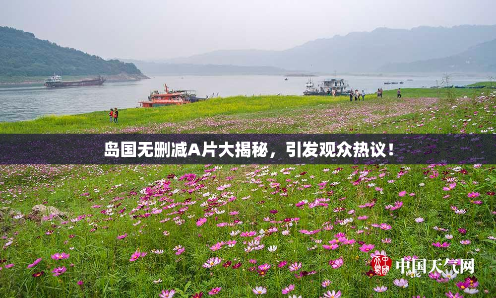 岛国无删减A片大揭秘，引发观众热议！