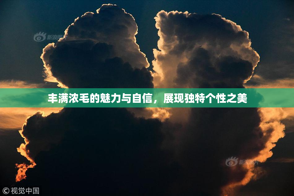 丰满浓毛的魅力与自信，展现独特个性之美