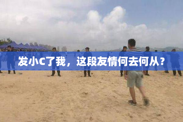 发小C了我，这段友情何去何从？