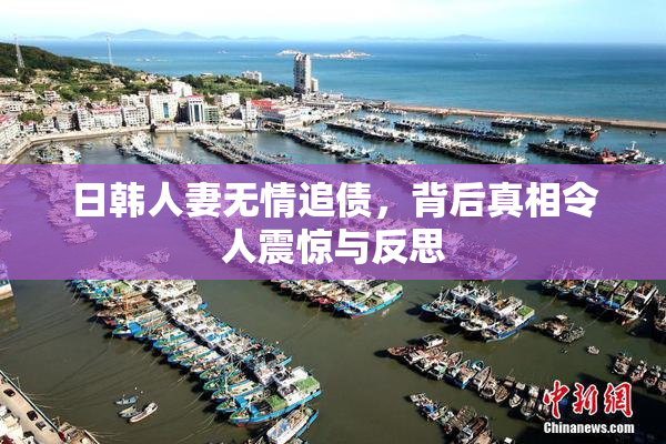 日韩人妻无情追债，背后真相令人震惊与反思