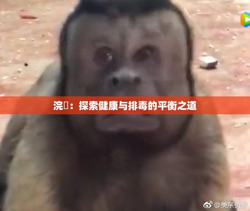 浣腸：探索健康与排毒的平衡之道