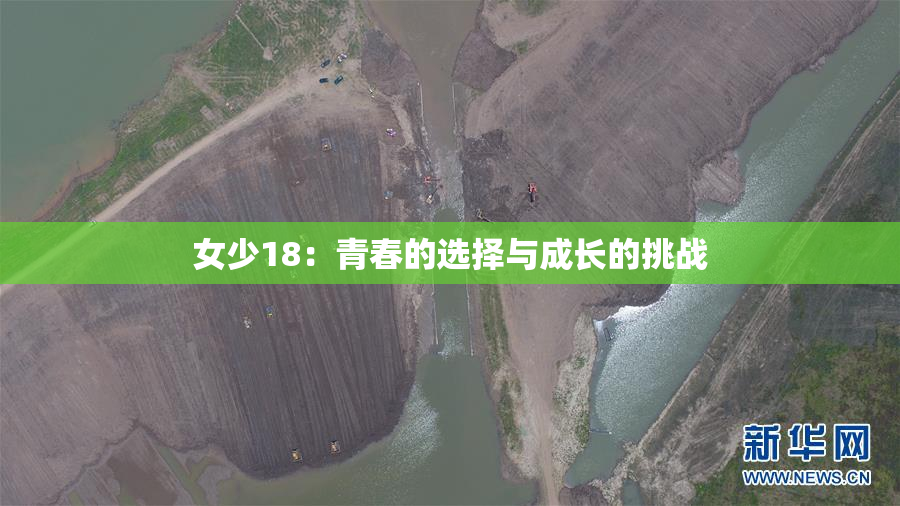 女少18：青春的选择与成长的挑战