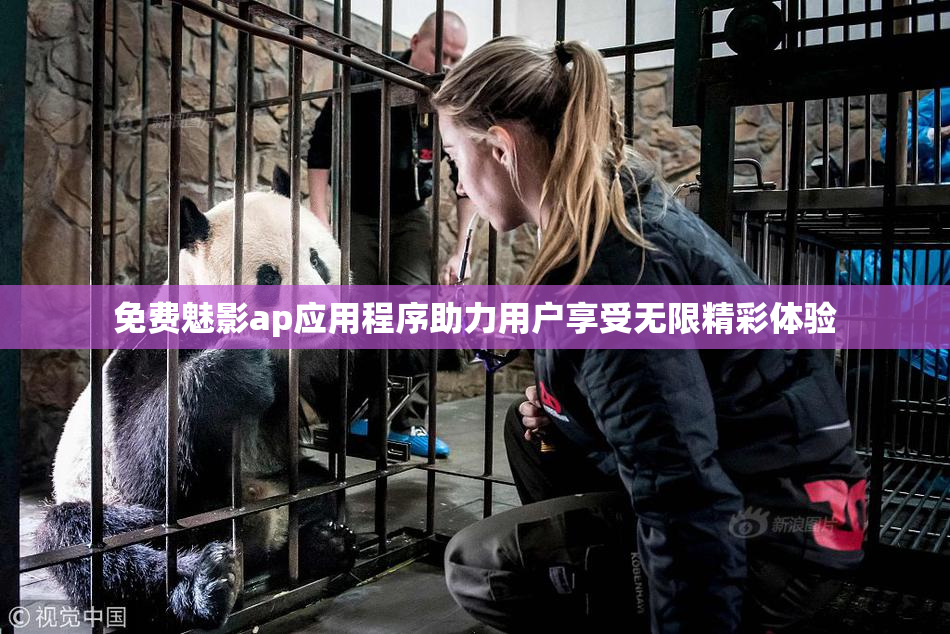 免费魅影ap应用程序助力用户享受无限精彩体验