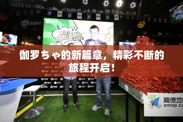 伽罗ちゃ的新篇章，精彩不断的旅程开启！