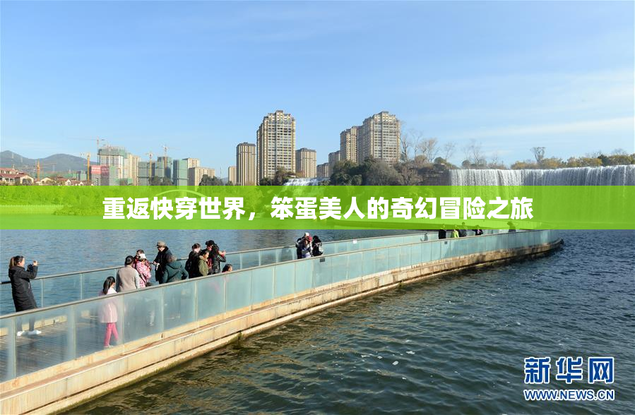 重返快穿世界，笨蛋美人的奇幻冒险之旅