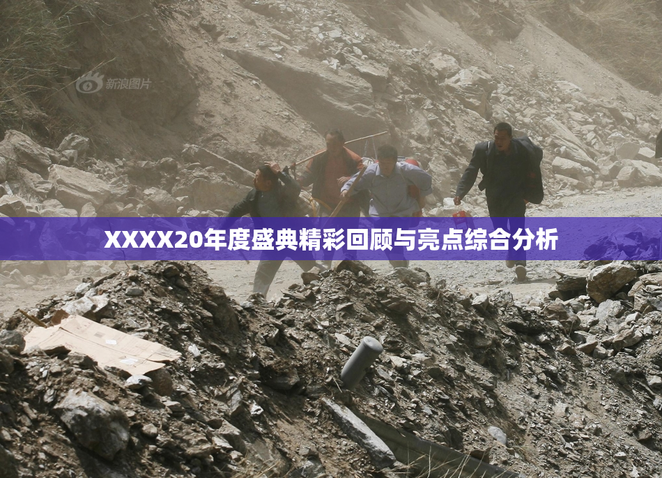 XXXX20年度盛典精彩回顾与亮点综合分析