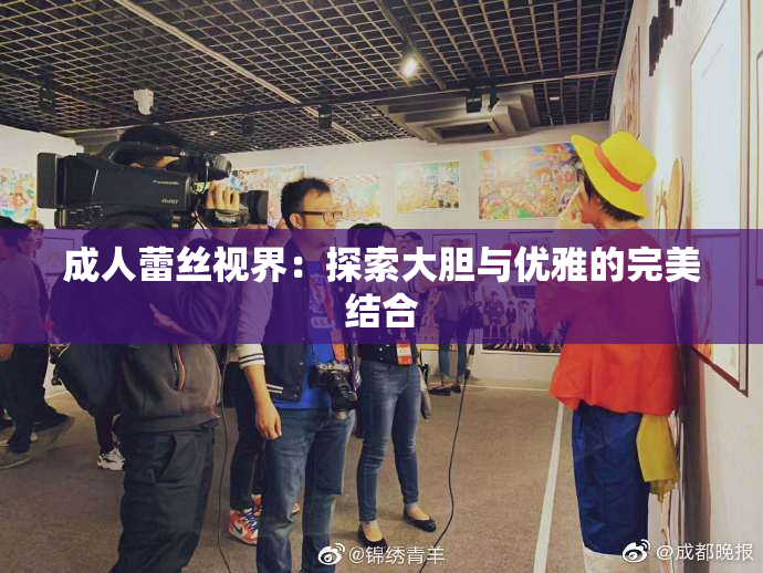 成人蕾丝视界：探索大胆与优雅的完美结合