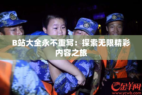 B站大全永不重写：探索无限精彩内容之旅