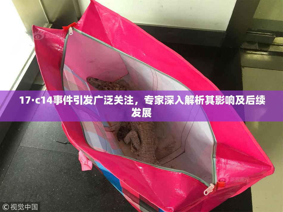 17·c14事件引发广泛关注，专家深入解析其影响及后续发展