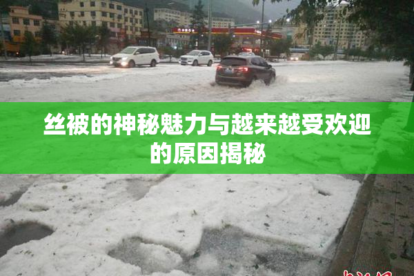 丝被的神秘魅力与越来越受欢迎的原因揭秘