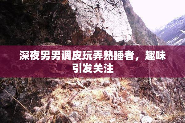 深夜男男调皮玩弄熟睡者，趣味引发关注