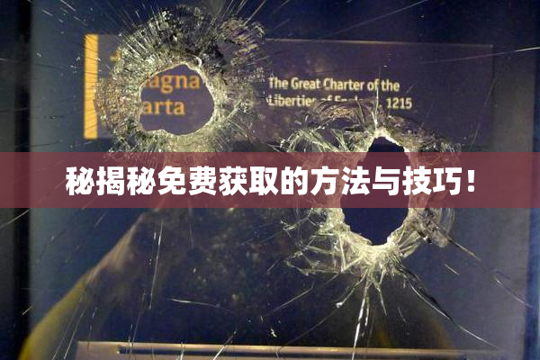 秘揭秘免费获取的方法与技巧！