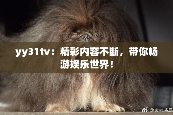 yy31tv：精彩内容不断，带你畅游娱乐世界！