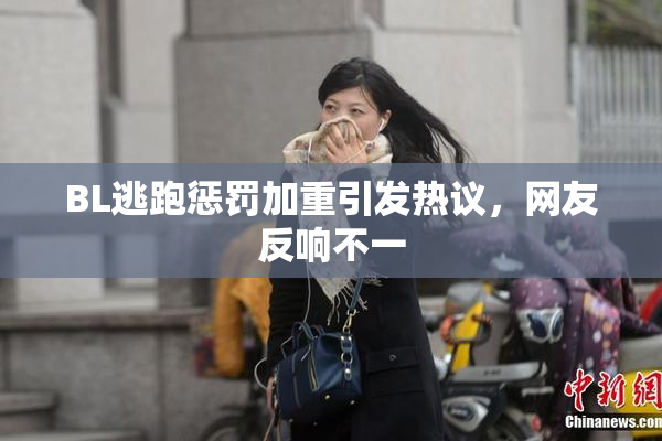 BL逃跑惩罚加重引发热议，网友反响不一