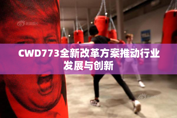 CWD773全新改革方案推动行业发展与创新