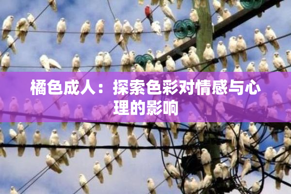 橘色成人：探索色彩对情感与心理的影响