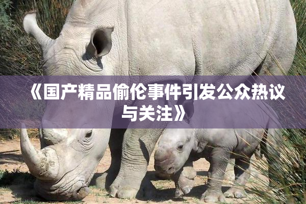 《国产精品偷伦事件引发公众热议与关注》