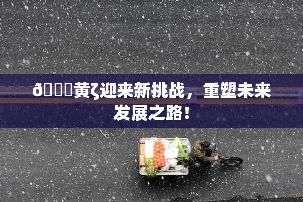 🔞黄ζ迎来新挑战，重塑未来发展之路！